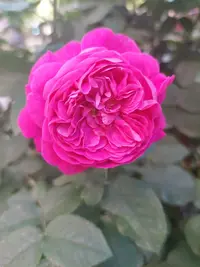 20210611_174148.webp