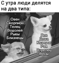 Screenshot_20210609_093008.webp
