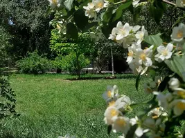 20210610_124814.webp
