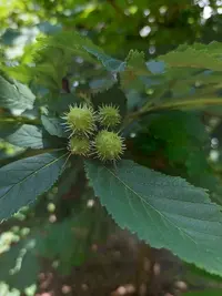 20210610_125027.webp