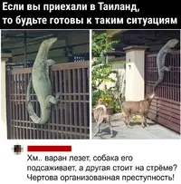 ECcqj8g2N9A.webp