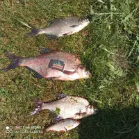 IMG_20210612_122151_compress72.webp