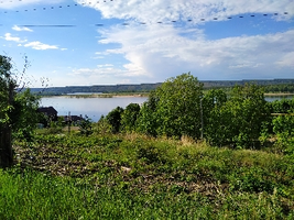 IMG_20210608_172421_resize_6.webp