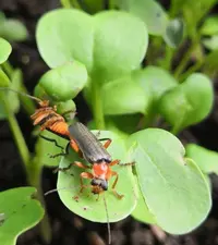 IMG_20210612_174254.webp