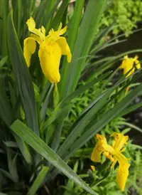 IMG_20210612_174409.webp