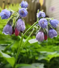 IMG_20210612_173514.webp