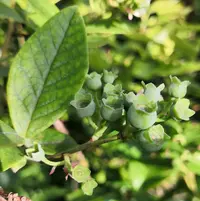 IMG_20210612_173243.webp