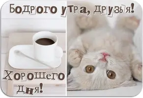71673789.webp