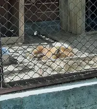 Screenshot_20210613-180502_Gallery.webp