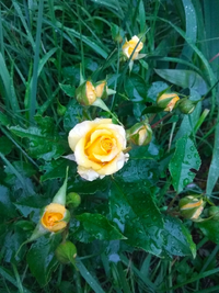 IMG_20210613_202236.webp