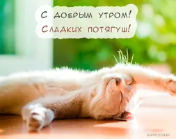 1472561800_04.webp