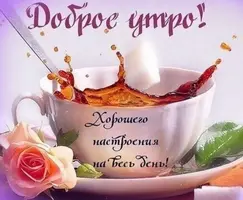 fb259c.webp