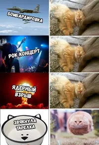 NnN1JqsPWKs.webp