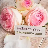 93ff6b8b53a31578b3e1c39d12b647c6.webp