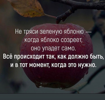 Screenshot_20210614-112306_Instagram.webp