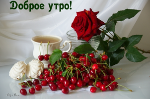 images_3549.webp
