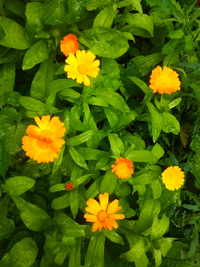 IMG_20210615_150128.webp