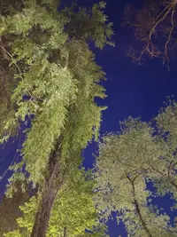 20210530_212038.webp