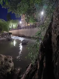 20210530_212111.webp
