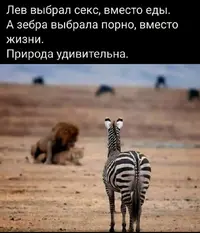 IMG_20210615_184738.webp