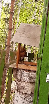 20210616_222111.webp