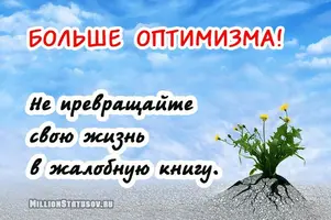 5bd1624f5222a.webp