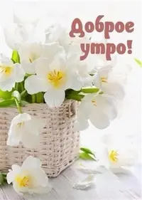 8080212ce514878a562ae6fcbfd169c3.webp