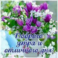 Картинки-.webp