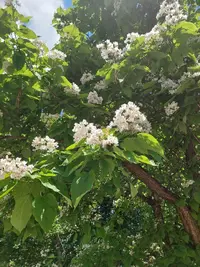 20210616_123049.webp