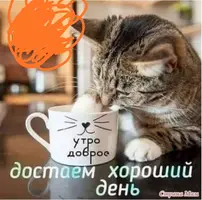 IMG-20210617-WA0001.webp