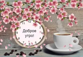 XiFN2kkoXhw.webp