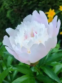 92D766EF-E67F-4458-9E83-43FE9B396CD2.webp
