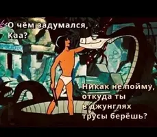 Screenshot_20210618_110222.webp