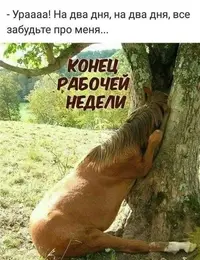 d54657cb9302b495b2e386dce4b32eb7.webp