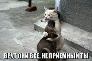 фото-прикол-с-надписью.webp