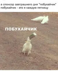 7e29fa3f8620230515a2e3756b62fbed.webp