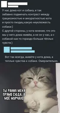aLf2_YlUXJ8.webp