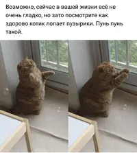 2JiffSFZmX4.webp