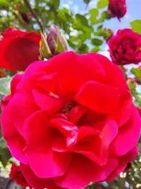 20210616_135542.webp