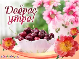 01889800.webp