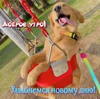 IMG-20210619-WA0001.webp