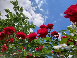 20210616_135629.webp