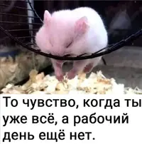 Screenshot_20210617_093139.webp
