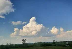 Screenshot_20210620-181445_Gallery.webp