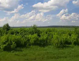 Screenshot_20210620-170323_Gallery.webp