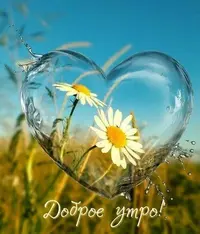 a60462894198798ee575180cf7da77f7.webp