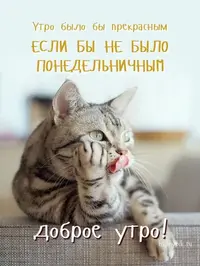 476818d49e46b7fcc856c05f62bf7a48.webp