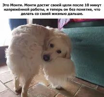 kfXx3mT7G40.webp