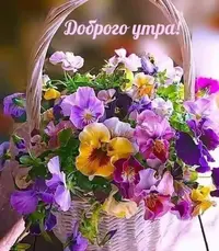 IMG-20210621-WA0006.webp
