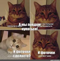 1412fe41daed40a40fd9ae80ccef5d3f.webp